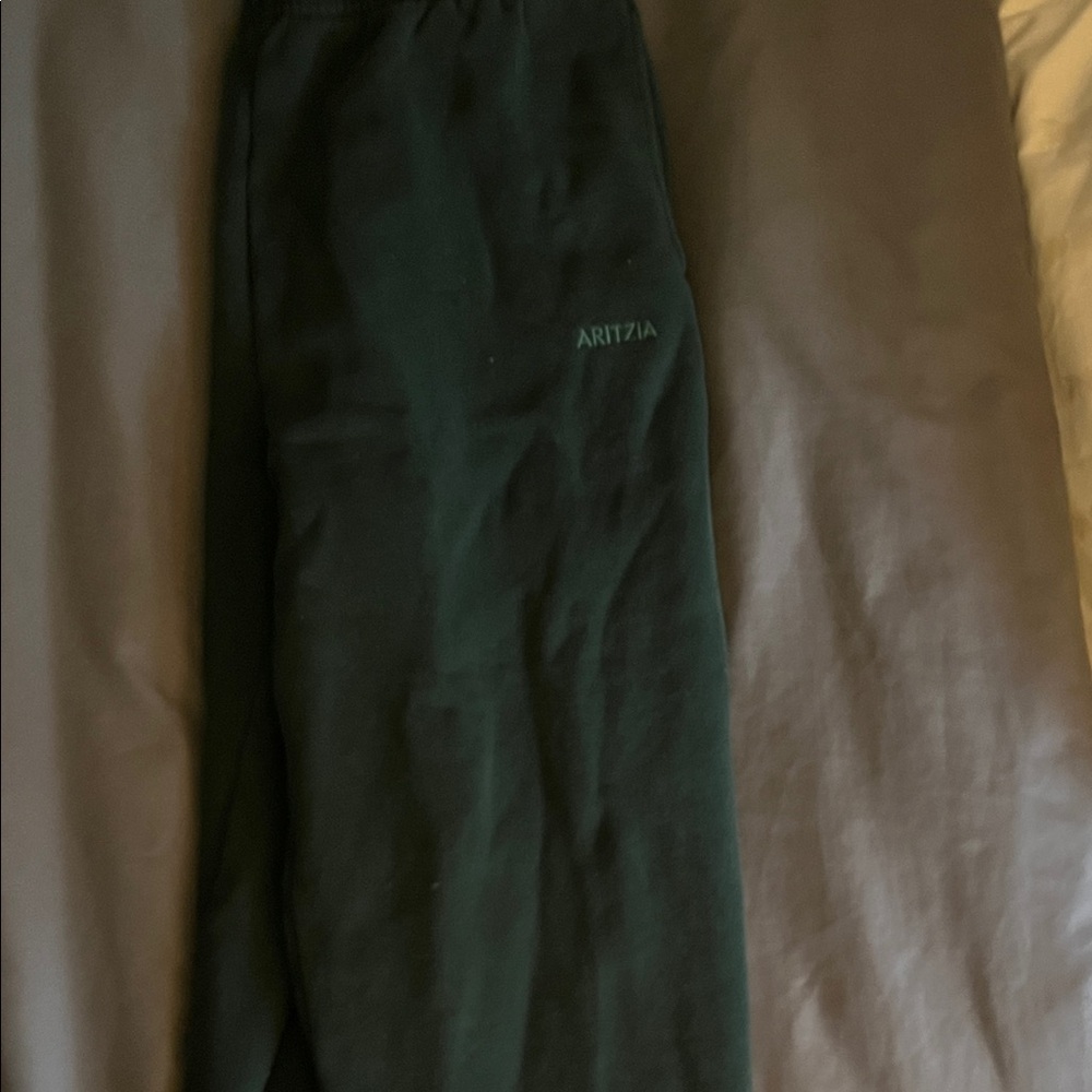 Aritzia Forest Green Trousers